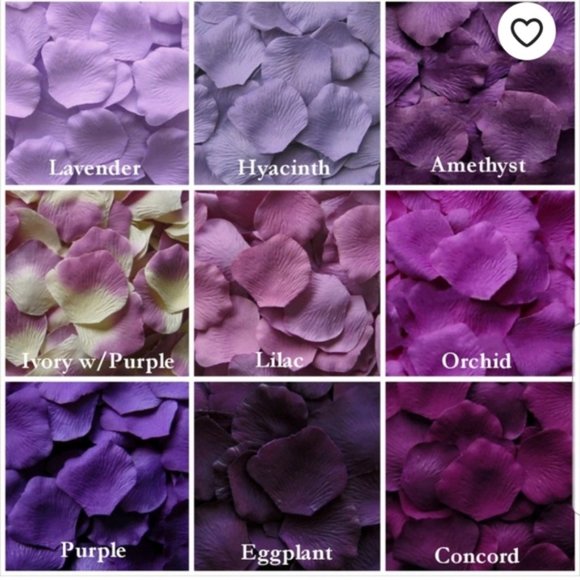 Liz Claiborne- Floral V-Neck Mid-calf length dress - Picture 8 of 8